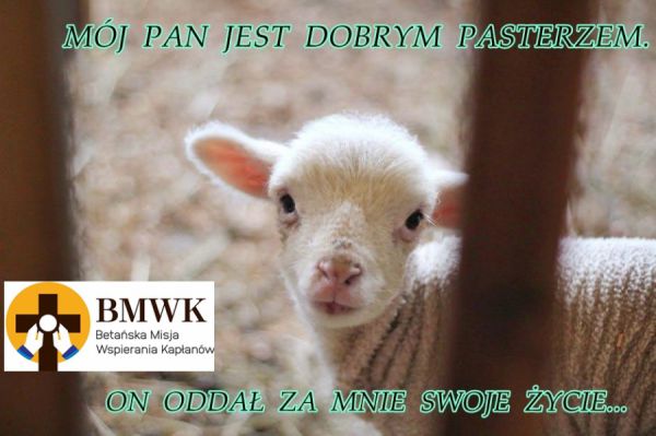 Tydzień Modlitw o Powołania